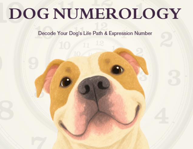 Discover your Dog's Life Path and Expression Number